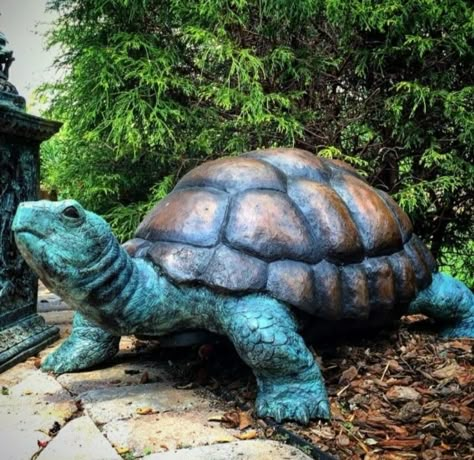 Fountain Sculpture, Fountain Statue, Sea Turtle Decor, Turtle Homes, Statue Fountain, Sea Turtle Gifts, Bronze Casting, Ceramic Turtle, Bronze Sculpture Animal