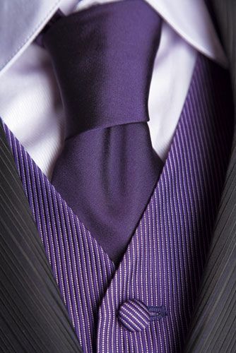 like the lines on the lapels, with the lined vest, and solid tie Groomsmen Outfit, Gold Vest, Purple Vest, Tie Vest, Purple Things, Wedding Stories, Gold Tie, Purple Christmas, Purple Reign