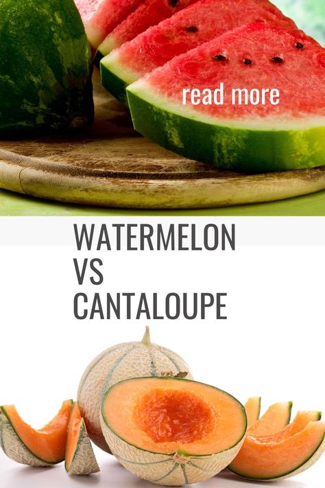 Watermelon vs Cantaloupe: Understanding the Difference and Health Benefits Cantaloupe Calories, Watermelon Calories, Cantaloupe Benefits, Watermelon Water, Watermelon Benefits, Healthy Eyes, Fruit Salad Recipes, Lower Cholesterol, Fresh Juice