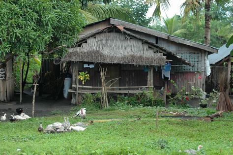 Images of the Philippino Countryside | Philippines Rural Houses http://aliawanenterprises.tripod.com ... Filipino Countryside, Philippines Countryside, Simple House Design Philippines, Rural Philippines, Philippines Province, House Design Philippines, Sunroom Extension, Philippine House, House Countryside