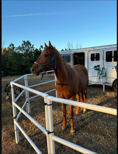 This is a Minor Assembly Required Portable Round Pen. This set is 12 portable Horse panels with FREE SHIPPING!! Our new Horse panel design has 3 bars instead of 2. This will create more of an enclosed feeling as opposed to the panel with just 2 bars. The Portable Corral is over 4 ft. 2 inches tall also available in taller 4 ft 6 in height. The pipe has an 0.D. that is 1.5 inches and each fence panel is 5ft long. Each Portable Corral Panels weighs 11 lbs which makes it easy to handle, carry, and How To Build A Round Pen For Horses, Round Horse Pen, Cheap Round Pen For Horses, Portable Horse Corral, Wood Round Pens For Horses, Solar Electric Fence, Round Pens For Horses, Goat Fence, Horse Corral