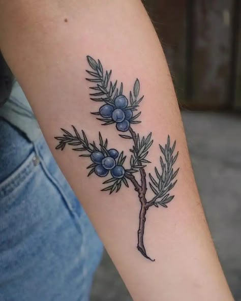 Juniper Tattoo, Juniper Branch, Tree Branch Tattoo, Mother Nature Tattoos, Related Tattoos, Branch Tattoo, Witch Tattoo, Botanical Tattoo, Nature Tattoos