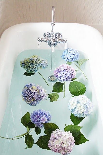 Hydrangeas and old time claw foot tubs... love them both. Garden And Yard, Love Flowers, Cut Flowers, Gardening Tips, Garden Landscaping, Hydrangea, Flower Power, Flower Garden, Floral Arrangements