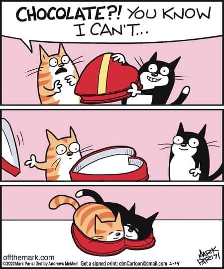 Mark Parisi, Cat Jokes, Cat Comics, Cat Photos, Cat Character, Cat Box, Cat Valentine, Funny Cute Cats, Cartoon Cat