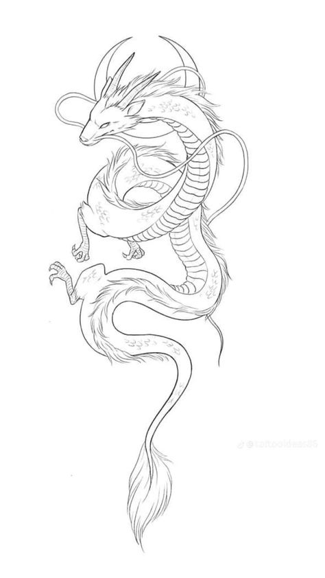 Dragon Tattoo Outline, Griffin Tattoo, Around Arm Tattoo, Dragon Tattoo Art, Dragon Tattoo For Women, Special Tattoos, Aztec Tattoo, Dragon Sketch, Tattoo Stencil Outline