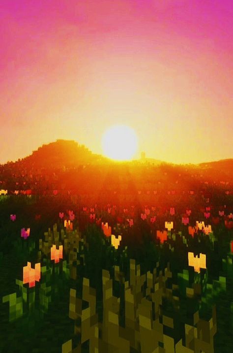 Minecraft Pretty, Minecraft Sunset, Pretty Minecraft, Minecraft Backgrounds, Minecraft Heart, Minecraft Wall, Gaming Aesthetic, Minecraft Aesthetic, Mc Wallpaper