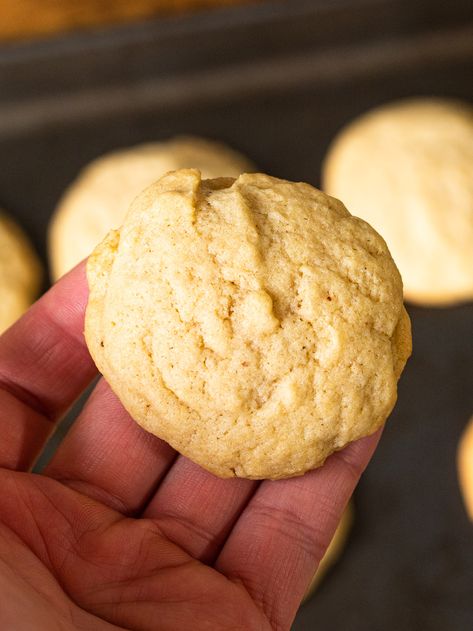 Tea Flavored Cookies, Southern Tea Cookies Recipe, Southern Tea Cookies, 12 Tomatoes Southern Tea Cake Cookies, Old Fashion Tea Cake Cookies, Southern Tea Cakes 12 Tomatoes, Southern Tea Cake Cookies, Southern Tea Cake Cookies 12 Tomatoes, Tea Cake Cookies