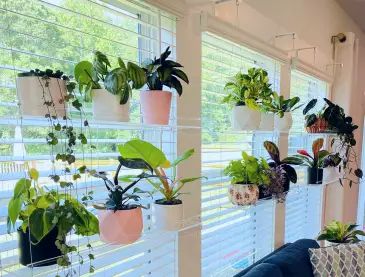 Clear Hanging Window Shelves That Help Plants Thrive Without Blocking Light | Apartment Therapy Shelves Over Windows Bathroom, Unique Plant Display, Sunroom Plant Room, Plant Displays Indoor, Hanging Plants Indoor Window, Narrow Shelf Ideas, Diy Plant Shelf Indoor, Hanging Plants In Front Of Window, Window Bookshelves