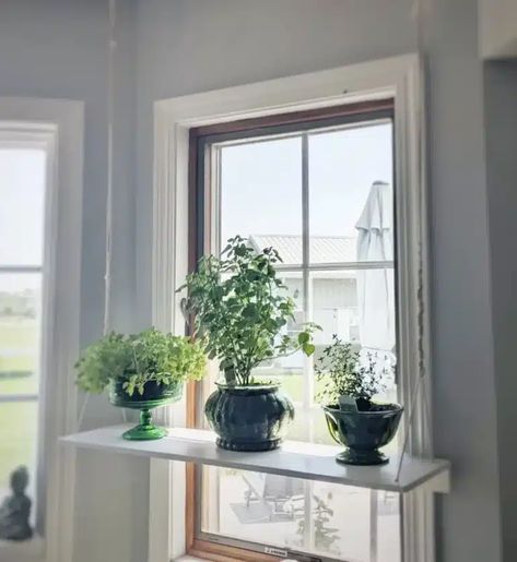 5+ Top Window Plant Shelf DIY Decor Ideas In [current-year] Plants Window Shelf, Window Shelf Plants, Hanging Shelf Kitchen Window, Plant Shelf Above Kitchen Sink, Diy Window Sill Shelf, Plant Shelf In Front Of Window, Window Plant Shelves Diy, Shelf Kitchen Window, Shelf Diy Ideas