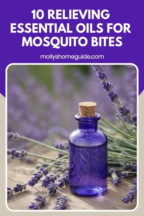 Discover the power of essential oils for mosquito bites with this DIY bug bite relief roller blend. Say goodbye to itchiness and swelling with natural essential oil remedies. Ward off pesky bugs and soothe bug bites with ease using this homemade insect repellent roller bottle recipe. Learn how to create the best anti-itch balm and relieve discomfort naturally. Explore the top 10 essential oils for repelling insects and enjoy the outdoors without worrying about mosquito bites. Essential Oils For Mosquitoes, Essential Oil Remedies, Insect Repellent Homemade, Remedies For Mosquito Bites, Bug Bite Relief, Bite Relief, Roller Bottle Recipes, Bug Bite, Basil Essential Oil