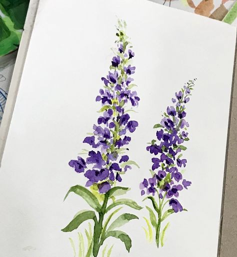 Watercolour Purple Flowers, Seed Swap, Watercolor Botanicals, Abstract Watercolor Flower, Purple Wildflowers, Flower Sketches, Watercolor Paintings Easy, Purple Watercolor, Watercolor Art Lessons