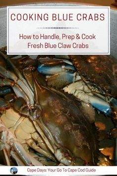 What to do with your catch of blue claw crabs? Here's how to handle, prep and cook them the easy way. Mixed Bean Recipes, Blue Crab Recipes, Blue Claw Crab, Live Crabs, Fried Soft Shell Crab, Cooking Crab, Seafood Boils, Seafood Feast, How To Cook Liver