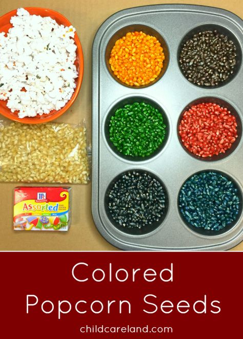 Colored Popcorn Seeds ... easy to make and can be used for many things. Popcorn Preschool Activities, Corn Prek Activities, Diy Colored Popcorn Kernels, Corn Lessons Preschool, Popcorn Corn On The Cob Craft, Preschool Scarecrow, Bean Mosaic, Book Camp, Popcorn Crafts