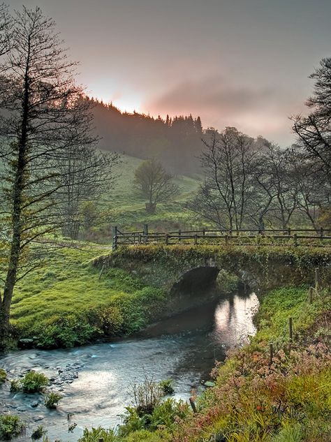 Dawn at Arlington Court, Barnstaple, North #Devon, England Inner Landscape, Oxford England, England London, Skye Scotland, Devon England, North Devon, Cornwall England, West Country, British Countryside