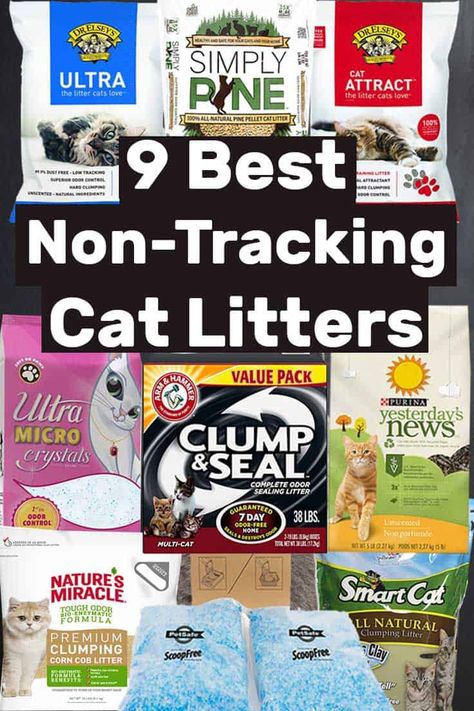 9 Best Non-Tracking Cat Litters – Litter-Boxes.com Cat Furniture Ideas, Stylish Cat Furniture, Pine Cat Litter, Training A Kitten, Litter Box Smell, Litter Tracking, Cat Wood, Best Cat Litter, Cat Wall Furniture