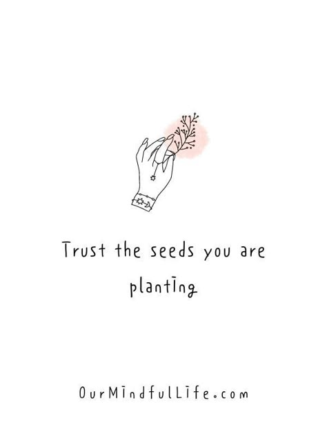 Seeds Quotes Inspiration, Self Growing Quotes, Quotes On Plants Inspiration, Sayings About Growth, Words About Growth, Cute Growth Quotes, Grow Where Youre Planted Quote, Inspirational Plant Quotes, Planting Seeds Quotes Inspiration