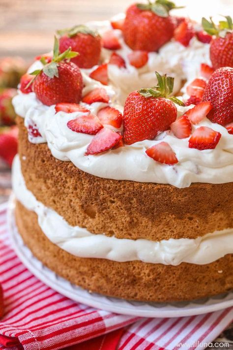 Strawberries and Cream Angel Food Cake   Breakfast Biscuits Strawberry Angel Food Cake Dessert, Strawberry Angel Food Cake, Angel Food Cake Desserts, Mothers Day Desserts, Mothers Day Cake, Angel Cake, Strawberry Cakes, Angel Food Cake, Köstliche Desserts