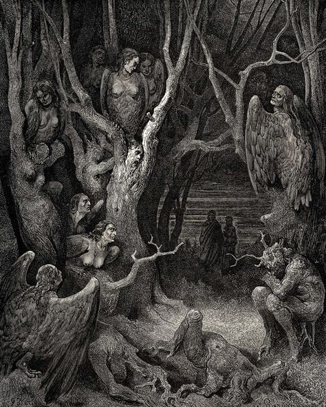 The Inferno, Canto 13, line 11 by Gustave Dore (ARC) Human Tree, Dantes Inferno, Arte Indie, Gustave Dore, 다크 판타지, Occult Art, Caravaggio, Gothic Art, In The Forest