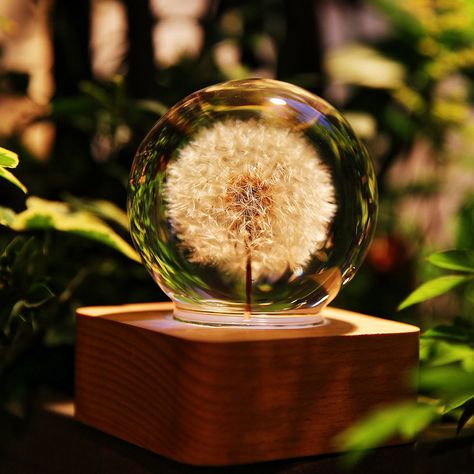 Dandelion Lamp #Awesome, #Design, #Lamp Dandelion Decor, Christmas Crafts To Sell Make Money, Bar Fancy, Resin Ball, Home Lamp, Mood Lamps, A Dandelion, Creation Art, Mood Lights