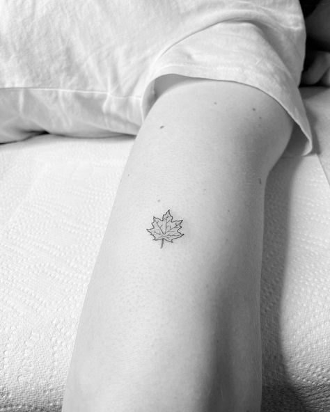 Minimal Leaf Tattoo, Maple Tattoo, Leaf Tattoo, Single Needle Tattoo, Little Tattoos, Fine Line Tattoos, Ink Art, Maple Leaf Tattoo, Maple Leaf