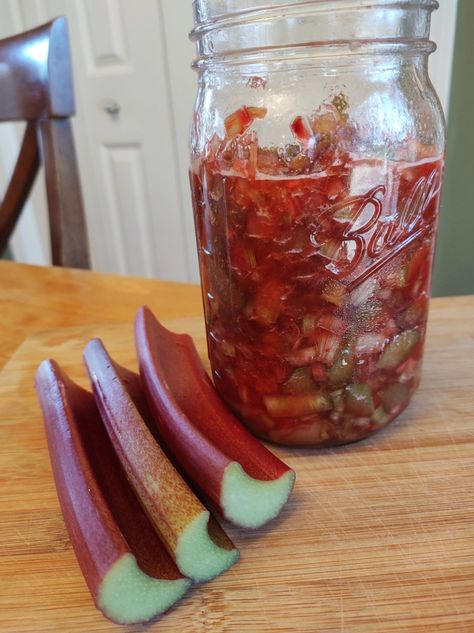 Rhubarb Shrub Love - Forks in the Dirt Rhubarb Vinegar, Rhubarb Shrub, Shrub Drink, Rhubarb Juice, Shrub Recipe, Blueberry Rhubarb, Slim Down Drink, Probiotic Benefits, Fermentation Recipes