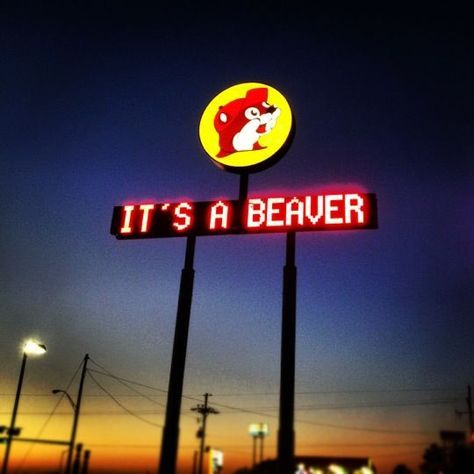 Bucees Texas Aesthetic, Bucees Texas, Vic Core, Beaver Nuggets, Texas Tattoo, Buc Ee's, Texas Trip, Only In Texas, Texas Life