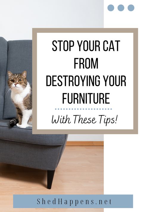 Stop Cat Scratching Furniture, Diy Cat Scratching Post, Diy Cat Scratcher, Cat Scratcher Post, Cat Behavior Problems, Cat Scratching Furniture, Colorful Hairstyles, How To Cat, Cat Wall Furniture