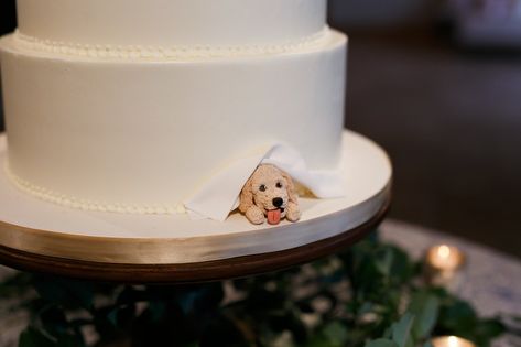 Pet Wedding Ideas: 61 Too-Cute Ways to Include Your Pet in Your Wedding | Brides Wedding Cakes Dog, Dog Cake Topper Wedding, Dog Cake, Wedding Pets, Future Wedding Plans, Dog Wedding, Marriage Ceremony, Animal Birthday, Here Comes The Bride