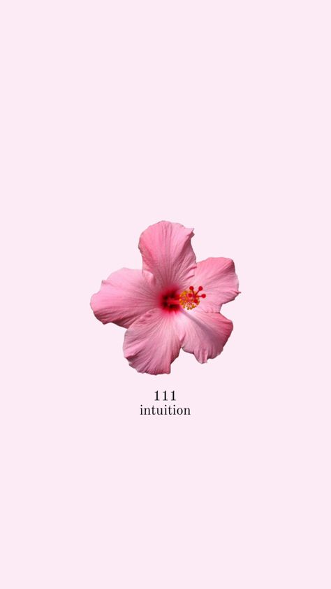 111 Angel Number, Angel Flowers, Pink Wallpaper Backgrounds, Desktop Wallpaper Art, Iphone Wallpaper App, Iphone Wallpaper Girly, Beautiful Dark Art, Pink Wallpaper Iphone, Cute Patterns Wallpaper