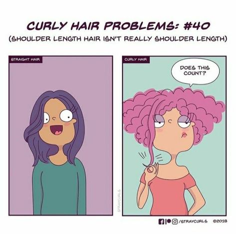 Curly Hair Jokes, Curly Girl Problems, Natural Hair Memes, Hair Jokes, Shoulder Length Straight Hair, Quick Curly Hairstyles, Curly Hair Care Routine, Curly Hair Problems, Cute Curly Hairstyles