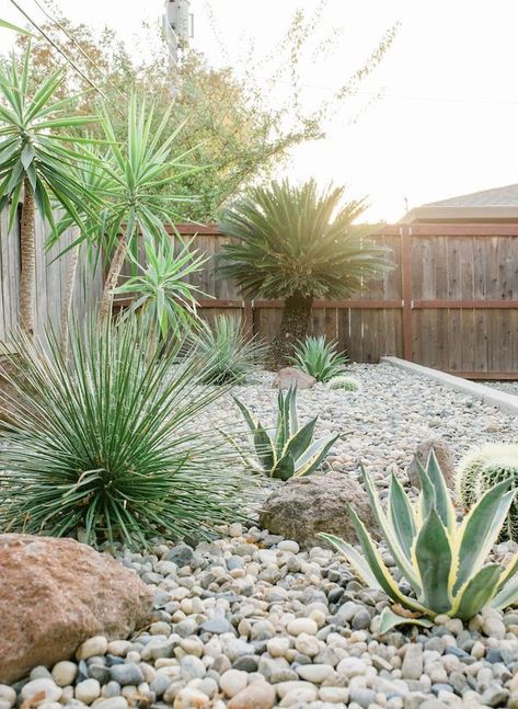 Mid Century Modern Backyard, Desert Backyard, Modern Backyard Landscaping, Modern Backyard, Small Backyard Patio, Budget Backyard, Backyard Makeover, House Landscape, Small Backyard Design