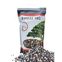 Bonsai Soil, Humic Acid, Fulvic Acid, Succulent Soil, Landscaping Supplies, Bonsai Plants, Bonsai Garden, Growing Tree, Potting Soil