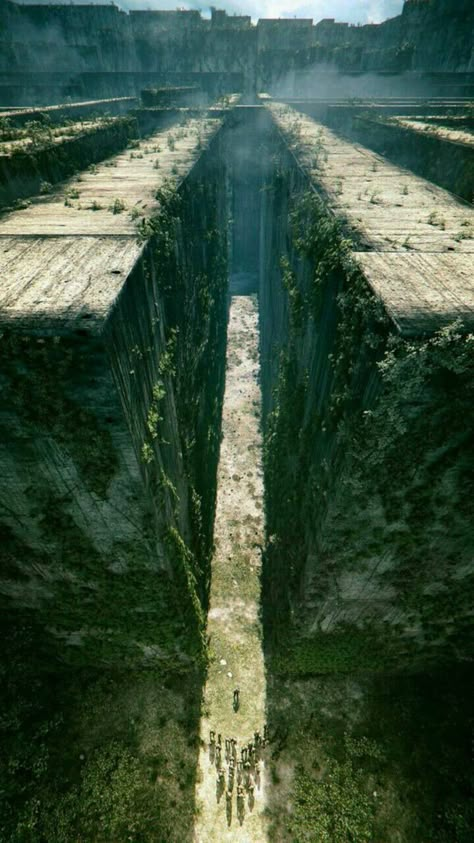 Maze Runner App Icons, Maze Runner Wallpaper, Runner Wallpaper, Maze Runner 1, Dystopian Films, Maze Runner Thomas, Maze Runner The Scorch, Maze Runner Cast, Maze Runner Movie