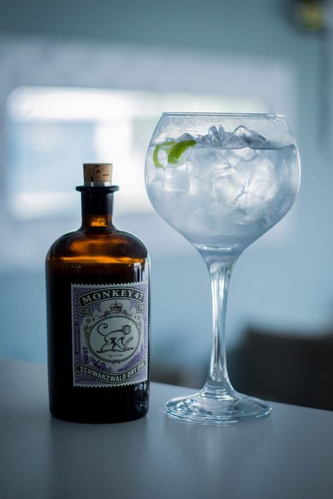 Wine Glass Photo, Monkey 47 Gin, Monkey 47, Premium Gin, Gin Brands, Best Gin, Hendricks Gin, Gin Drinks, Gin Lovers