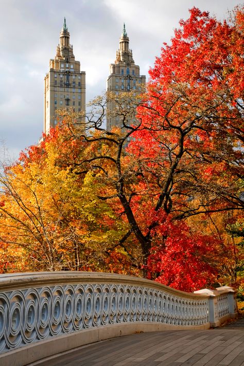 Central Park in the fall is stunning. The air is cool and crisp, the leaves are bright red, orange and yellows. Here’s a guide to fall foliage spots and activities in Central Park in the fall. Central Park In Autumn, Autumn In Central Park Nyc, Autumn In Central Park, Central Park Bethesda Terrace, Autumn In America, New York Aesthetic Central Park, Nyc In Fall Aesthetic, Bright Fall Wallpaper, September In New York