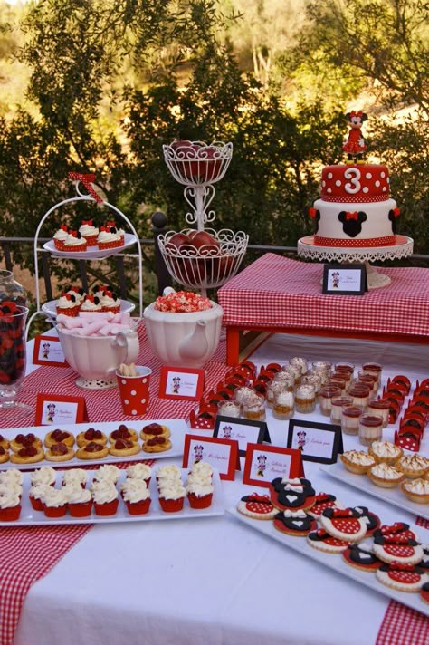 Minnie Minnie Mouse Candy Table Red, Minie Mouse Party, Picnic Themed Parties, Treats Table, Minnie Mouse Birthday Theme, Mickey 1st Birthdays, Minnie Mouse Theme Party, Mickey Mouse Birthday Cake, Summer Gingham