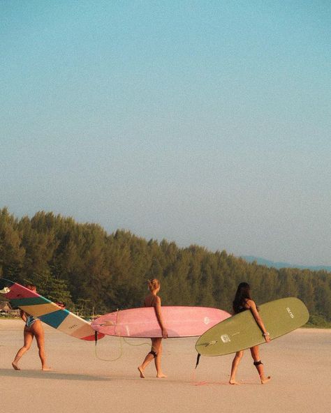 People Surfing, Surf Pictures, Women Surfing, Surfer Girl Aesthetic, Surfer Aesthetic, Surfer Lifestyle, Surfing Aesthetic, Walking Together, Surf Aesthetic