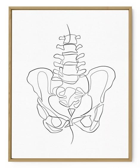 Beautiful Abstract Line Art Anatomy Prints | Office Wall Art Decor – Infinite Noon Spine Line Art, Anatomy Line Drawing, Human Anatomy Tattoo, Line Art Anatomy, Bone Illustrations, Anatomy Line Art, Spine Vertebrae, Anatomy Prints, Medicine Art