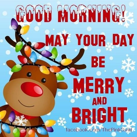 Good Morning Merry Christmas, Christmas Morning Quotes, Merry Christmas Meme, Christmas Meme, Good Morning Christmas, Good Morning Winter, Merry Christmas Message, Good Morning Funny Pictures, Merry Christmas Quotes