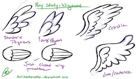 Drawing Pegasus Wings on Pinterest | Wings, Mlp and Wings Drawing Mlp Anatomy, Anime Wings, Draw Angel, Dragon Sketches, Mlp Drawing, Draw Tutorial, How To Draw Anime, Character Design Cartoon, Wings Drawing