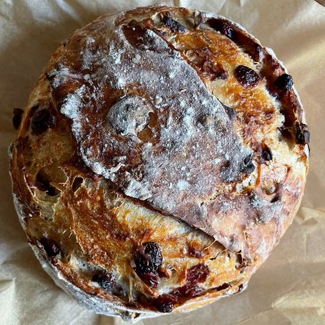 Cranberry Walnut Artisan Bread - Harvest & Nourish Cranberry Walnut Artisan Bread, Blueberry Quick Bread, Artisan Bread Recipe, Cranberry Walnut Bread, Breakfast Bread Recipes, Artisan Bread Recipes, Walnut Bread, Cranberry Bread, Dried Berries