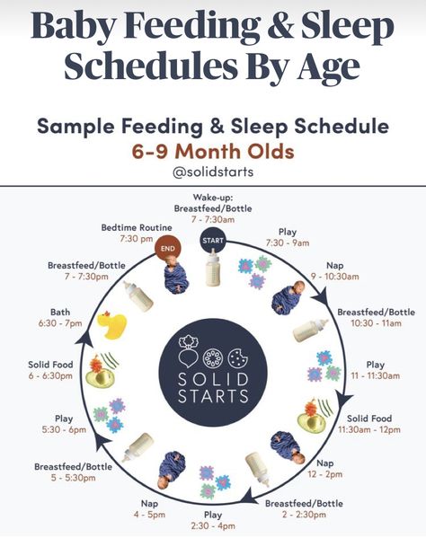 Baby Solid Food Schedule, Food Schedule, Baby Weaning Foods, Baby Food Guide, Baby Food Schedule, Starting Solids Baby, Baby Led Weaning First Foods, Baby Food Chart, Foster Baby