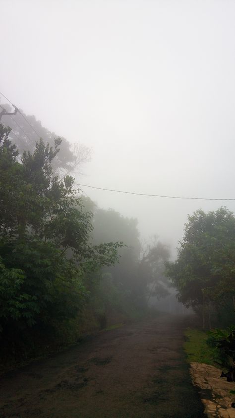 Fog Snapchat Story, Foggy Village, Fog Aesthetic, Rainy Day Aesthetic, Aesthetic Places, Cloud Tattoo, Alcohol Aesthetic, Morning Mist, Misty Morning