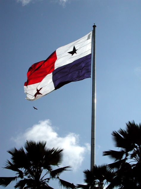 Panamanian Flag, Panama Cruise, Panama Canal Cruise, Panama Flag, Modern Skyscrapers, Panama Travel, Cruise Excursions, Cultural Centre, Panama Canal