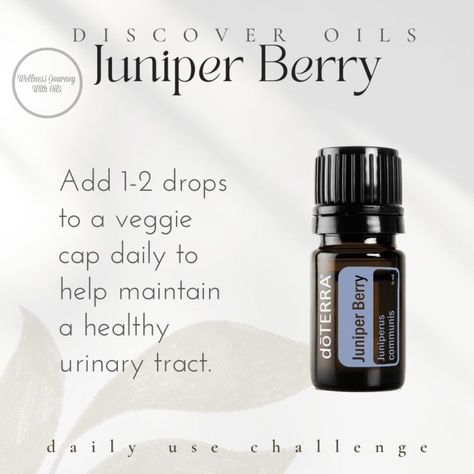 Topical Essential Oils, Citrus Drinks, Juniper Berry Essential Oil, Natural Cleansing, Essential Oils For Pain, Stomach Issues, Diy Sprays, Staying Hydrated, Juniper Berry