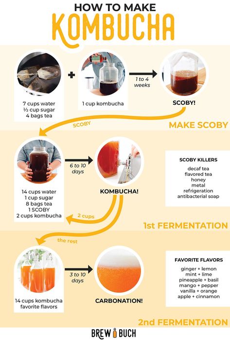 Ever wondered how kombucha - the deliciously fizzy fermented tea - is made? We're breaking down the basics of how to make kombucha, from start to finish! No fancy equipment or ingredients needed. Diy Kombucha, Kombucha Recipes, Kombucha Bottles, Make Kombucha, Kombucha Flavors, Kombucha Scoby, Homemade Kombucha, Kombucha Recipe, Fermented Tea