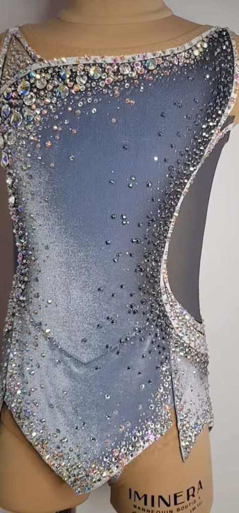 Silver Leotard, Rhythmic Gymnastics Costumes, Gymnastics Costumes, Jazz Dress, Baton Twirling, Award Display, Jazz Costumes, Circus Costume, Rhythmic Gymnastics Leotards