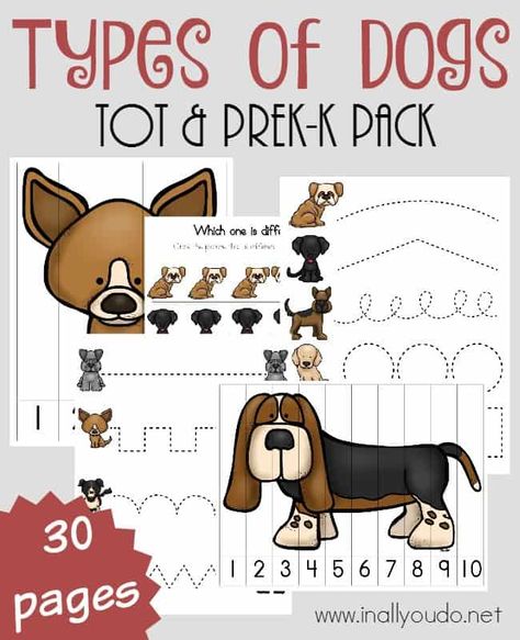 Types of Dogs Tot & PreK-K Pack - In All You Do Preschool Pet Theme, Preschool Pets, Pet Care Printables, Pet Study, D Is For Dog, Year Planning, Pets Preschool Theme, Crate Training Puppy, Community Helpers Preschool