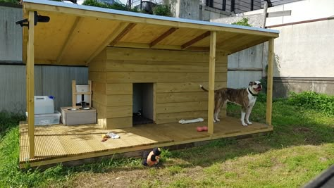 DIY Dog House / Dog kennel. Thermally insulated walls, ceiling and floor. Diy Xl Dog House, Diy Insulated Dog House, Xl Dog House, Garden For Dogs, Insulated Dog House Plans, Dog House Diy Plans, Big Dog House, Extra Large Dog House, Insulating A Shed