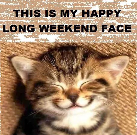 Long Weekend Humor, Friday Cat, Happy Long Weekend, Weekend Humor, Friday Humor, Waste Time, Holiday Pictures, Happy Thursday, Happy Face